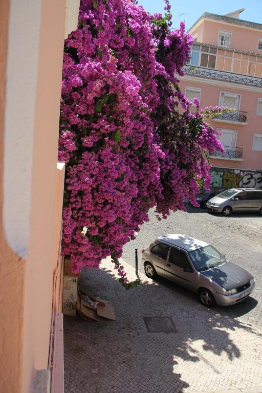 Lisbon Inn Apartments * Lissabon